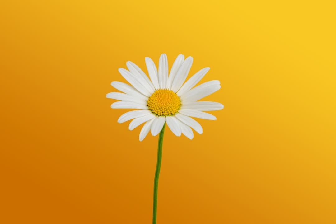 儿童火车票怎么购买 怎么开发票？